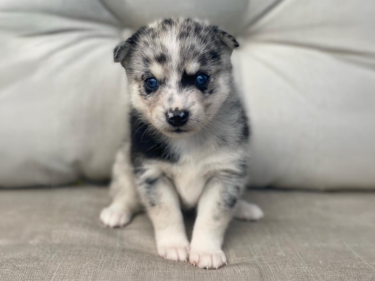 Wuta always photogenic